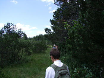 2008_0719-s100fs0131