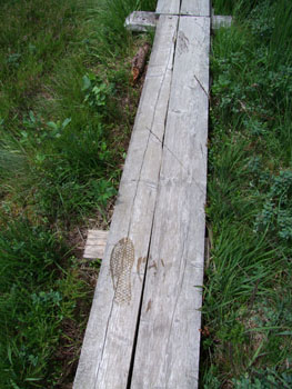 2008_0719-s100fs0132