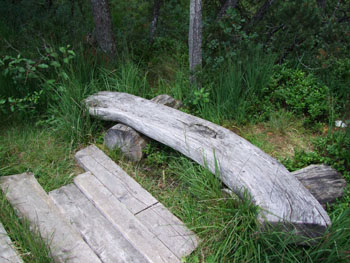 2008_0719-s100fs0134