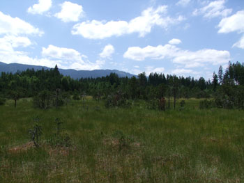 2008_0719-s100fs0137