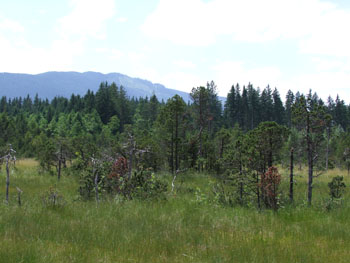 2008_0719-s100fs0138
