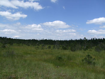 2008_0719-s100fs0139