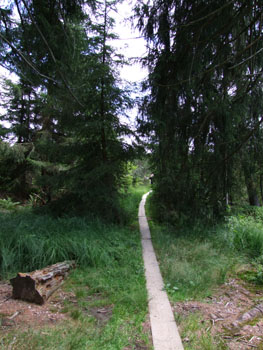 2008_0719-s100fs0146